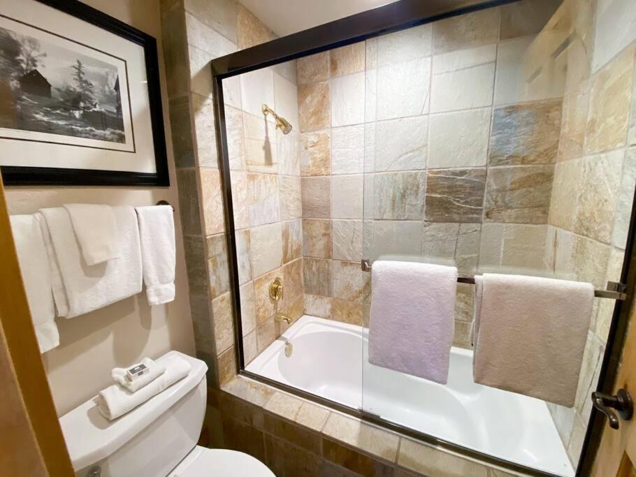 2 Bedroom Condominium - Luxury Skiin And Out Telluride Dış mekan fotoğraf